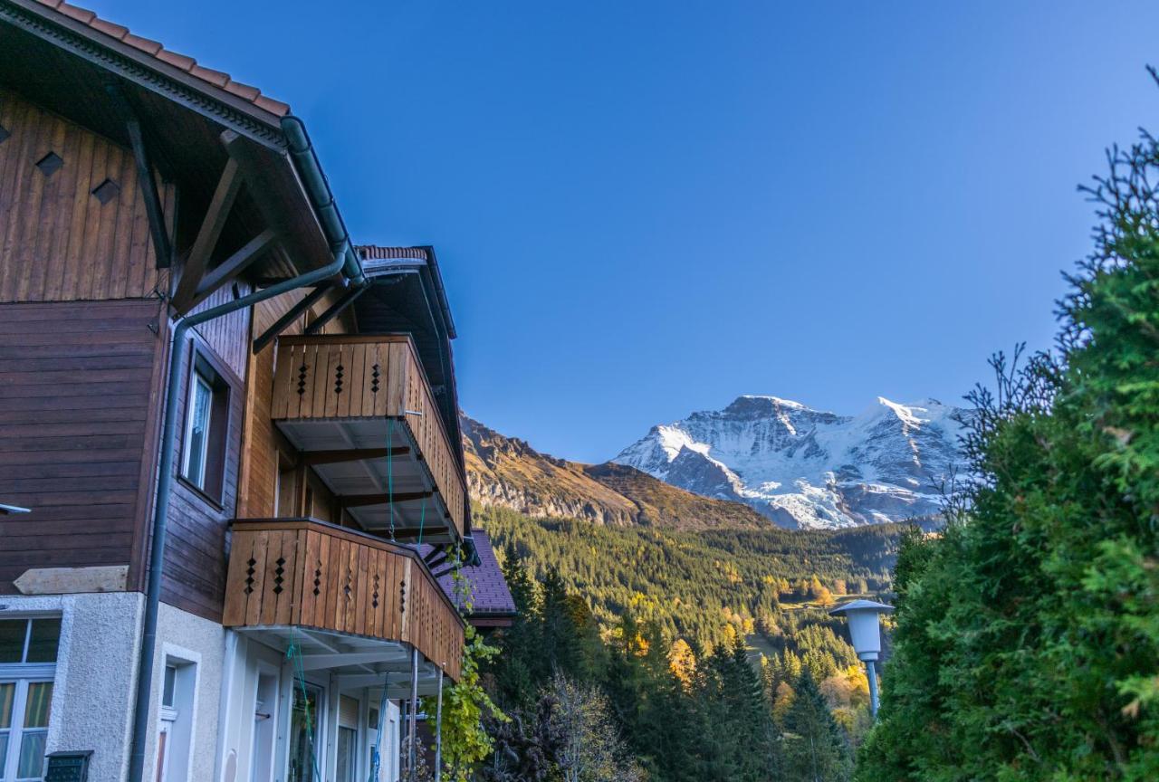 Chalet Aargovia Apartment Wengen Exterior photo