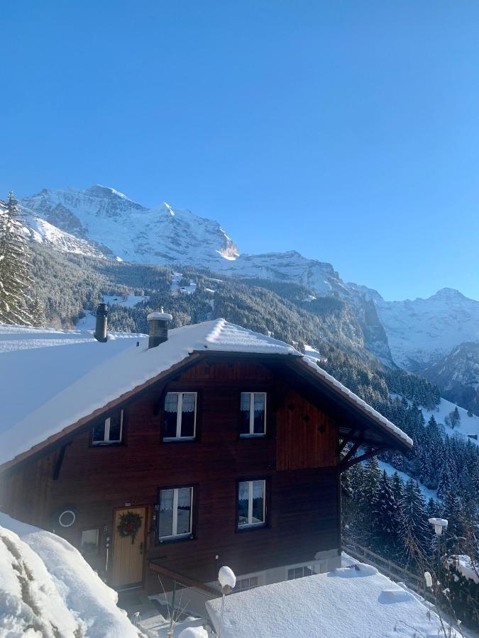 Chalet Aargovia Apartment Wengen Exterior photo